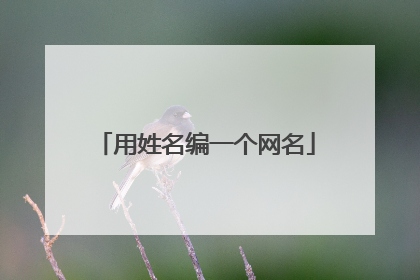 用姓名编一个网名