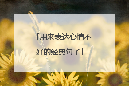 用来表达心情不好的经典句子