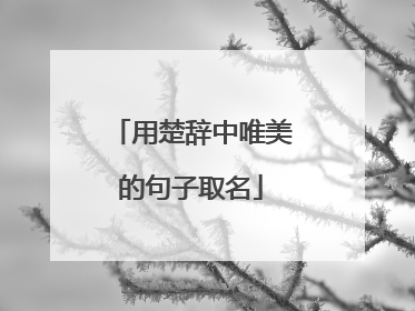 用楚辞中唯美的句子取名