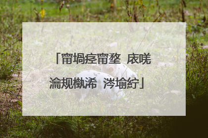 甯堝痉甯堥�庡唴瀹规槸浠�涔堬紵