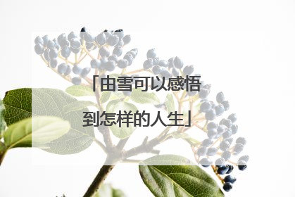 由雪可以感悟到怎样的人生