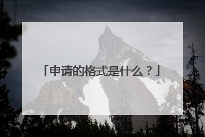 申请的格式是什么?