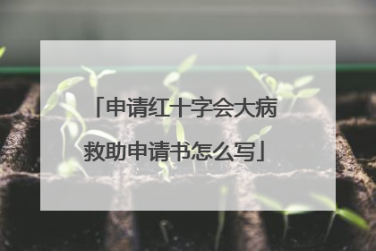 申请红十字会大病救助申请书怎么写