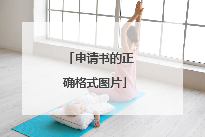 申请书的正确格式图片