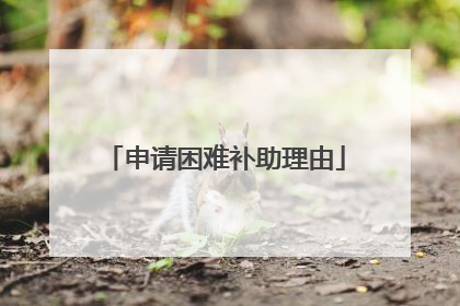 申请困难补助理由