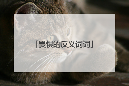 畏惧的反义词词