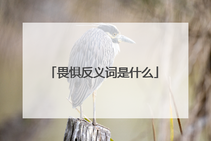 畏惧反义词是什么