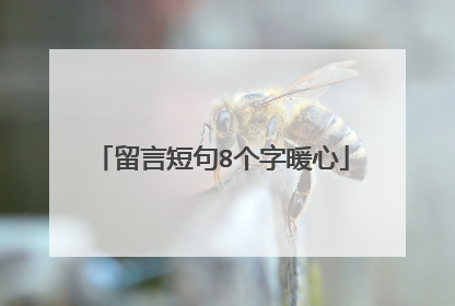 留言短句8个字暖心