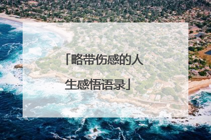 略带伤感的人生感悟语录