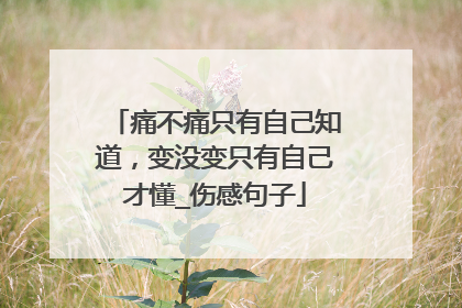 痛不痛只有自己知道，变没变只有自己才懂_伤感句子