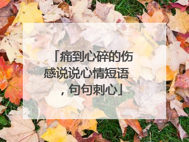 痛到心碎的伤感说说心情短语，句句刺心