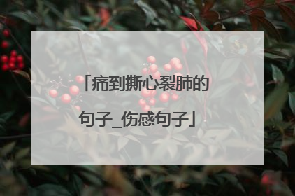 痛到撕心裂肺的句子_伤感句子
