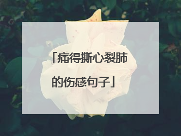 痛得撕心裂肺的伤感句子