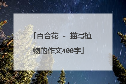 百合花 - 描写植物的作文400字