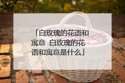 白玫瑰的花语和寓意 白玫瑰的花语和寓意是什么