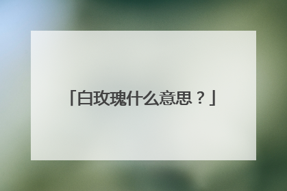 白玫瑰什么意思？