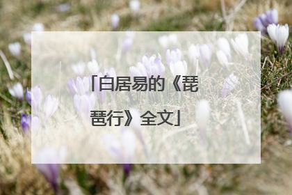 白居易的《琵琶行》全文