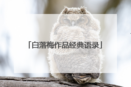 白落梅作品经典语录