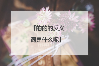 的的的反义词是什么呢