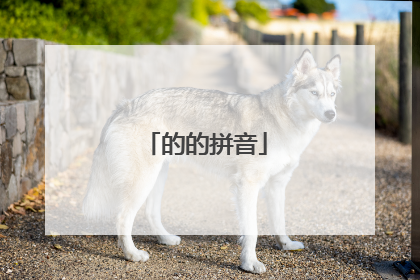 的的拼音