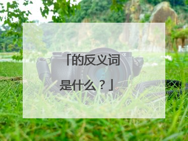 的反义词是什么?
