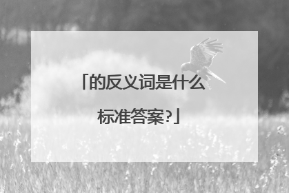 的反义词是什么 标准答案?
