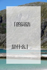 的词语是什么