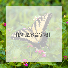 的 是多音字吗