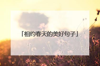 相约春天的美好句子