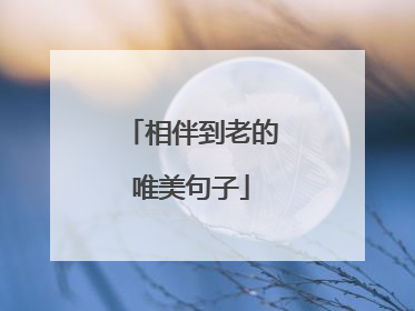 相伴到老的唯美句子