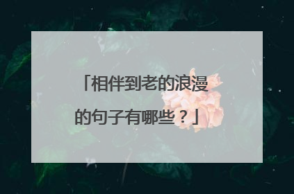 相伴到老的浪漫的句子有哪些?