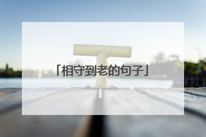 相守到老的句子