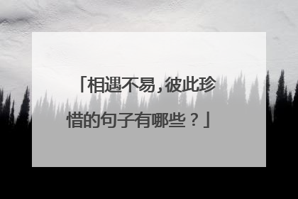 相遇不易,彼此珍惜的句子有哪些？