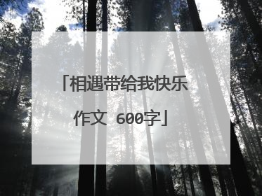 相遇带给我快乐 作文 600字