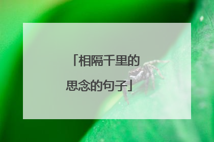 相隔千里的思念的句子