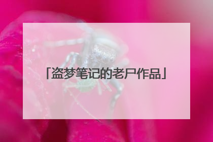 盗梦笔记的老尸作品