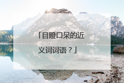 目瞪口呆的近义词词语？
