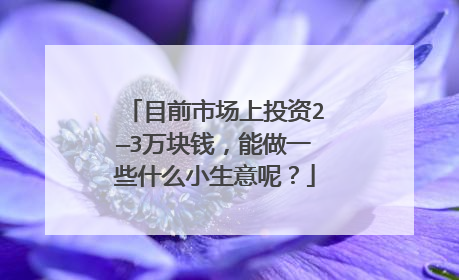 目前市场上投资2—3万块钱,能做一些什么小生意呢?