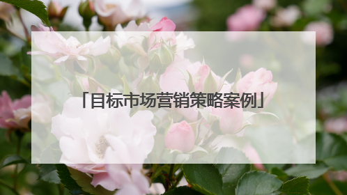 目标市场营销策略案例