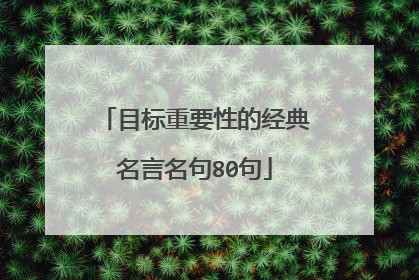 目标重要性的经典名言名句80句