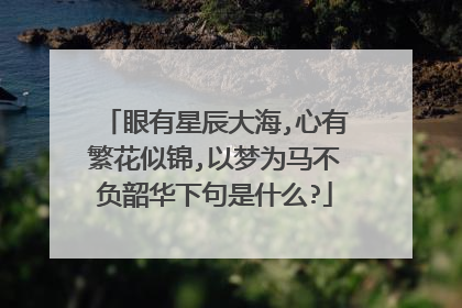 眼有星辰大海,心有繁花似锦,以梦为马不负韶华下句是什么?