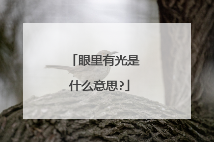 眼里有光是什么意思?