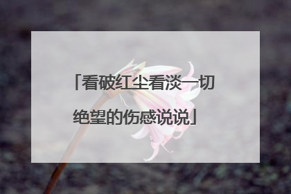 看破红尘看淡一切绝望的伤感说说