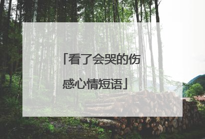看了会哭的伤感心情短语