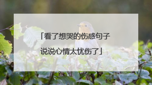 看了想哭的伤感句子说说心情太忧伤了