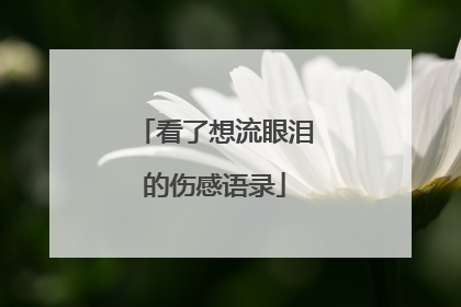看了想流眼泪的伤感语录