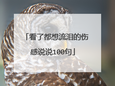 看了都想流泪的伤感说说100句