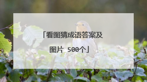 看图猜成语答案及图片 500个