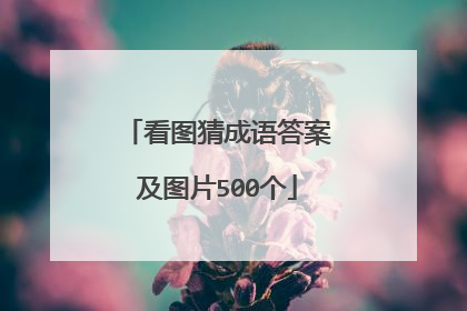看图猜成语答案及图片500个