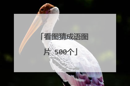 看图猜成语图片 500个